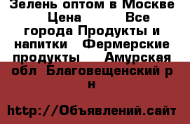 Зелень оптом в Москве. › Цена ­ 600 - Все города Продукты и напитки » Фермерские продукты   . Амурская обл.,Благовещенский р-н